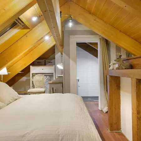 Fuente Del Tesoro Vacacional En *